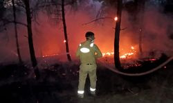 Üç ildeki orman yangınına müdahale ediliyor; 3 mahalle boşaltıldı