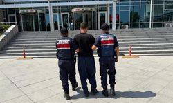 Orman yangınlarıyla ilgili 23 kişi gözaltına alındı, 4’ü tutuklandı