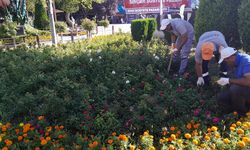 Sincan’da Yeşil alanlarda kapsamlı bakım çalışmaları