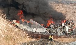 Şanlıurfa’da şarampole devrilen TIR alev aldı