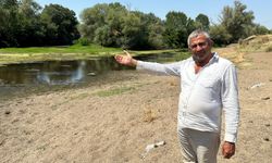 Tunca Nehri kuruma noktasına geldi! Çeltik üreticisi tedirgin