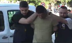 Yanan TIR'da cesedi bulunan şoförün öldürülüp başının kesildiği ortaya çıktı