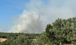 Uşak’ta tarım arazisinde çıkan yangın ormana sıçradı
