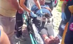 Kazada yaralanan sahibinin ambulansta da başından ayrılmadı