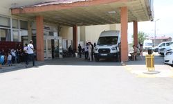 Hayvan otlatırken yorgun mermi isabet etti