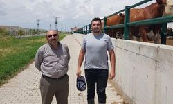 Saman dökme yüzünden çıkan kavgada muhtar ve oğlu öldü