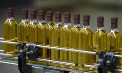 Fransa’da Türk malı zeytinyağında kanserojen madde alarmı