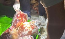 Şırnak'ta 3 ton kaçak et ele geçirildi