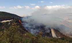 Hatay - Suriye sınırında çıkan orman yangını kontrol altına alındı