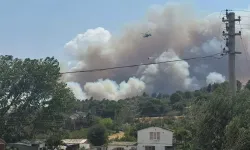 Çanakkale'de tarım arazisinde başlayan yangın ormana sıçradı