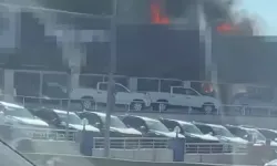 Pendik'te sıfır araç bayisinde yangın