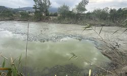 Bolu’da balık ölümleri