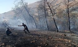 Şanlıurfa’da orman yangını