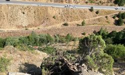 Sivas'ta fındık işçilerini taşıyan minibüs uçuruma yuvarlandı: 3 ölü, 18 yaralı