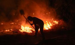 Bornova’da orman yangını