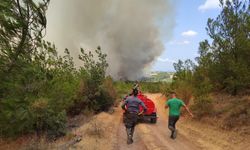 Çanakkale’de orman yangını