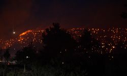 Çanakkale’deki orman yangınında 348 kişi mahsur kaldı