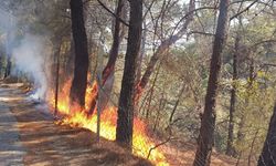 Kazdağları’nda orman yangını