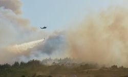 Gelibolu’da yangın: Hava ve karadan müdahale sürüyor