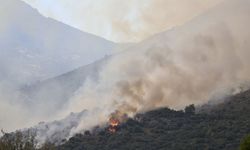 Muğla’nın iki ilçesinde orman yangını