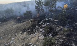 Diyarbakır’da ormanlık alanda yangın