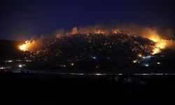 Pamukkale’de orman yangını