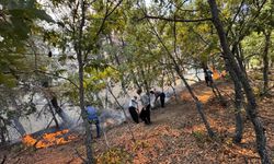 Adana’da orman yangını