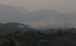 Adana'nın İmamoğlu ilçesinde orman yangını çıktı