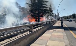 Ankara’da ağaçlık alanda çıkan yangın söndürüldü