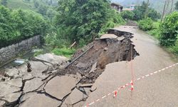 Artvin'de heyelan nedeniyle 2 köy yolu ulaşıma kapandı