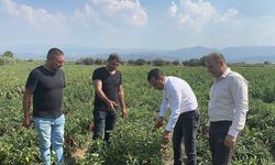 Çiftçiler CHP’li Başevirgen’e dert yandı: Bu düzen çiftçiyi bitirir
