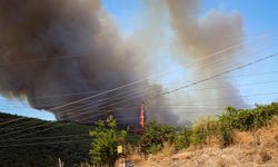 Bursa’da orman yangını