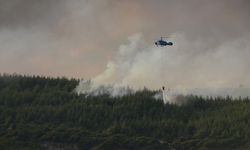 Çanakkale Gelibolu'daki yangın kontrol altına alındı