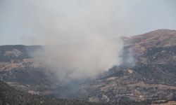 Çorum'da ormanlık alanda çıkan yangına müdahale ediliyor