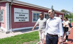 Başkan Beşikcioğlu çalışmaları yerinde inceledi