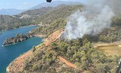 Fethiye'de orman yangını