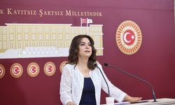 DEM Partili Koçyiğit: Komisyon, sürecin hukuksal teminatını sağlamalı