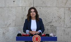 DEM Partili Koçyiğit: Çözüm istemeyen kesimlerin olduğu gerçeğini de iyi biliyoruz