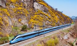 Güney Kore'de tren raydan çıktı: 2 ölü, 4 yaralı
