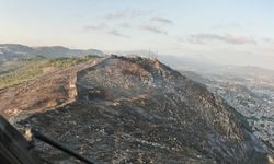 Hatay'daki orman yangını, 16 saat sonra kontrol altına alındı