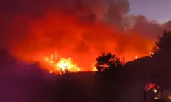 Hatay, Çanakkale ve Mersin’de orman yangını: 7 mahalle tahliye edildi