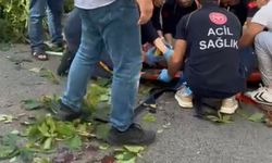 Ünlü oyuncunun üzerine ağaç devrildi: Ağır yaralanan oyuncunun görüntüleri ortaya çıktı
