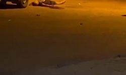 Sancaktepe’de park yeri yüzünden tartıştığı kardeşini öldürdü