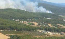 İzmir Menderes'te orman yangını: 8 uçak ve 8 helikopterle müdahale ediliyor