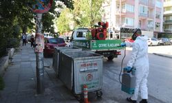 Çankaya’da yaz boyu haşereyle etkin mücadele