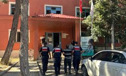 Arıları sakinleştirmek isterken 80 hektar ormanı yaktı