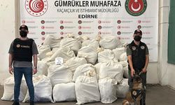 Kapıkule'de TIR'da 692 kilo esrar ele geçirildi; 10 tutuklama
