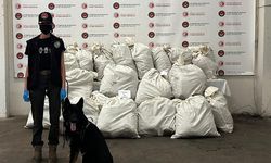 Kapıkule'de 245 kilo esrarı 'Füge' buldu