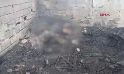 Kırklareli yangınında 20 küçükbaş öldü