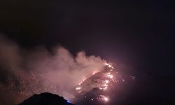 Marmara Adası'nda orman yangın